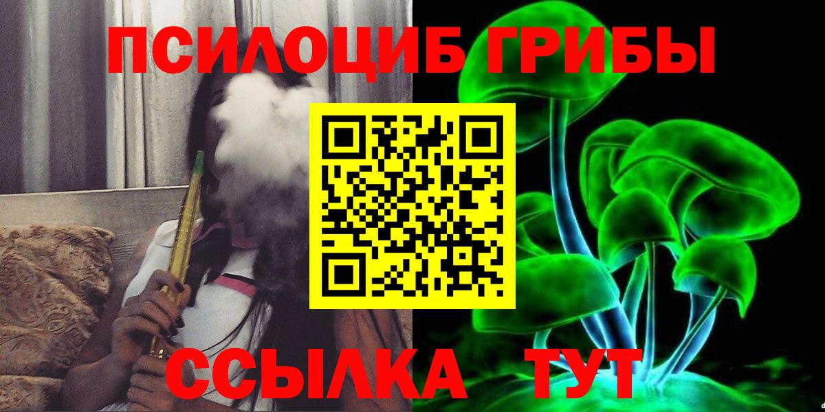 Галлюциногенные грибы Psilocybe Арсеньев